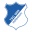 TSG Hoffenheim